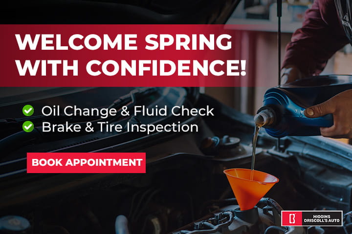 Higgins---Spring (1)